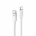 PISEN PRO CC11