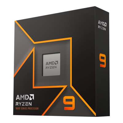 AMD Ryzen 9 9900X
