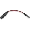Canon MXLR20 Mini XLR to XLR cable (CNN-3973V094)