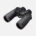 Nikon Binoculars 10X50 CF WP (NIK-BAA586AA)