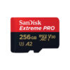 256 GB MICRO SD CARD