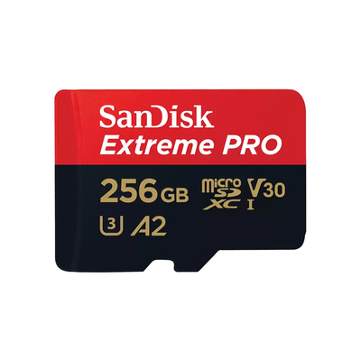 256 GB MICRO SD CARD