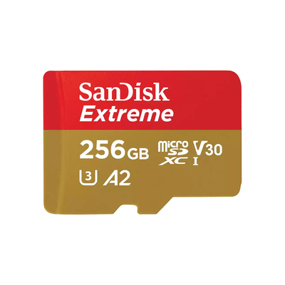 256 GB MICRO SD CARD