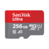 256 GB MICRO SD CARD