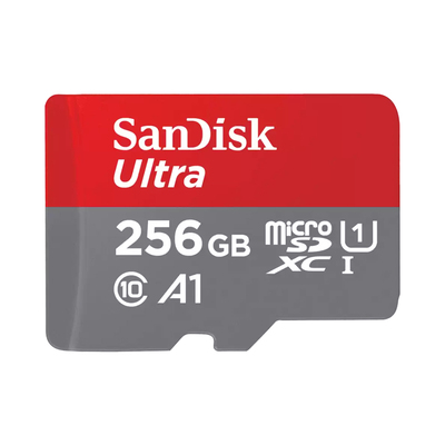 256 GB MICRO SD CARD