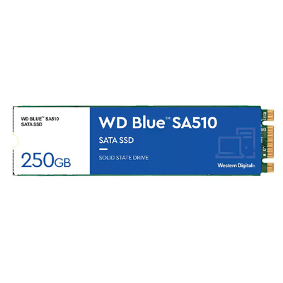 WD SSD BLUE 250GB M.2