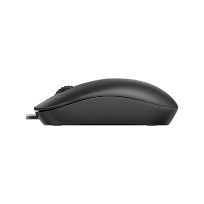 RAPOO OPTICAL MOUSE